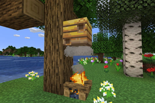 how to collect honey in Minecraft - Campfire under a beehive