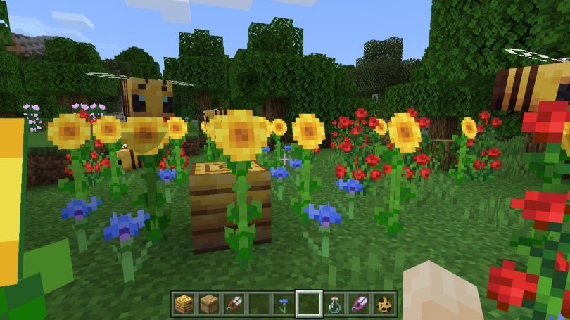 How to Collect Honey in Minecraft