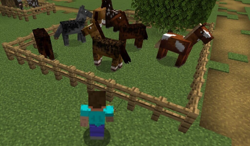 How to Tame a Horse in Minecraft