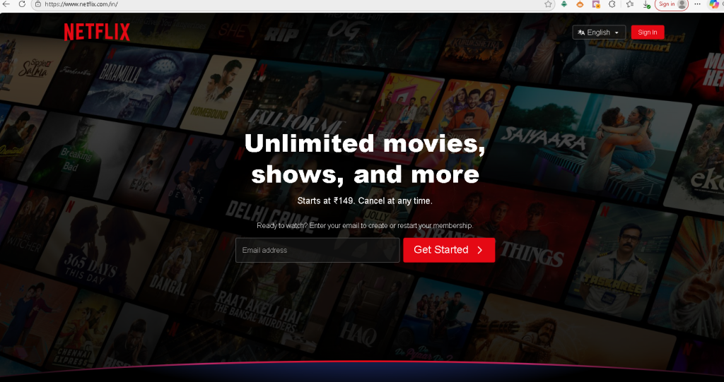 What Can You Watch on Netflix?
